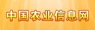 相关文章