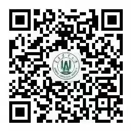 可先确认当前栏目名称